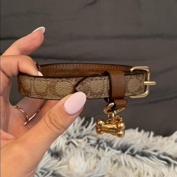 2 PIECE GIFT SET: Coach SMALL LOGO Dog Leash+Strap - Picture 7 of 13